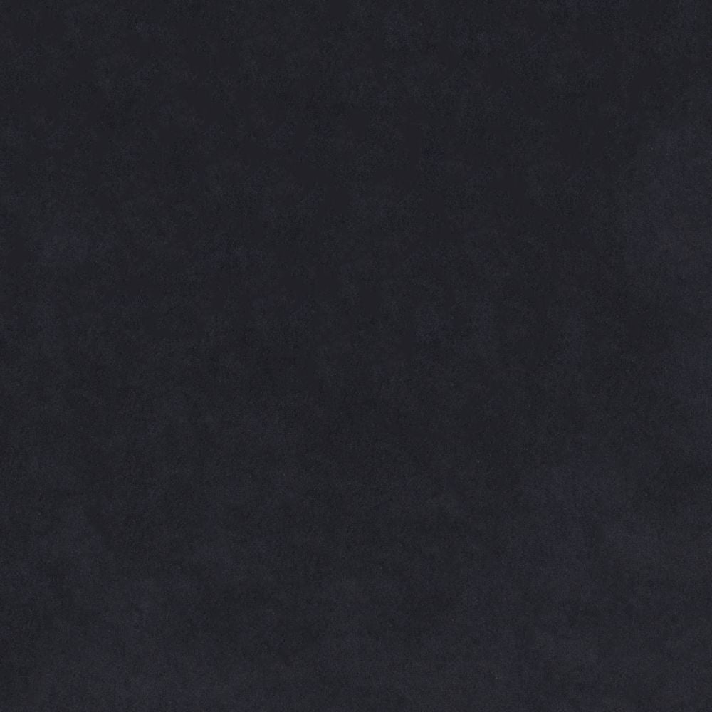 CHAIR ZUO COZY 101556 | Dining Chair | Black | Gold | 100% Polyester | Fabric | Velvet | Inside | Use Interior Department Room Department Accommodation Studio Decoration Interiors Home Habitacion Dinner Room