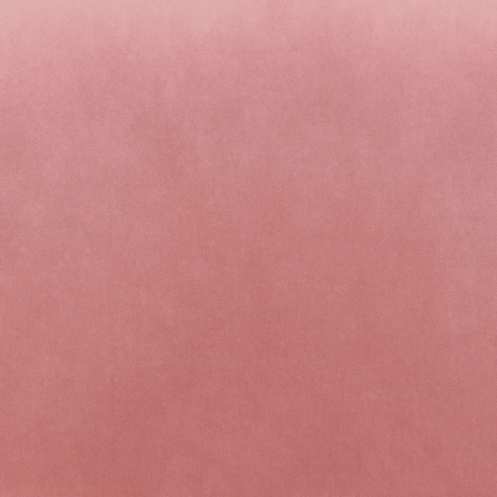 CHAIR ZUO PARKER 101712 | Dining Chair | Gold Pink | 100% Polyester | Fabric Velvet | Inside | Use Interior Department Room Department Accommodation Studio Decoration Interiors Home Habitacion Dinner Room